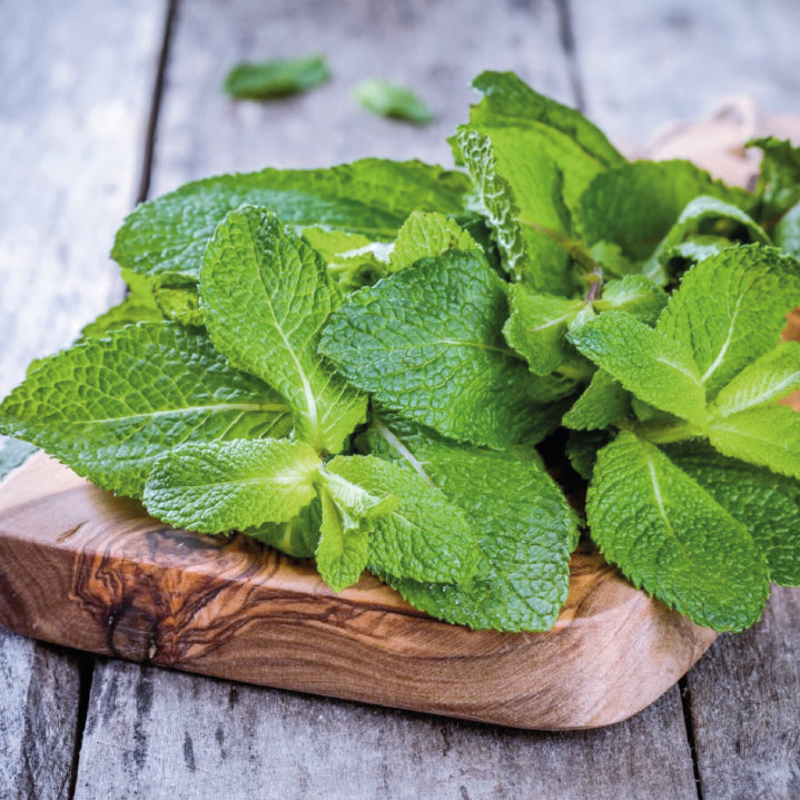 Aceite Esencial Menta