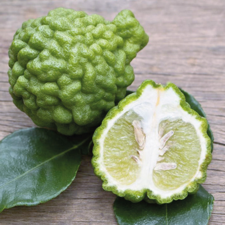 Aceite Esencial Bergamota: